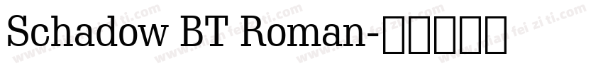 Schadow BT Roman字体转换